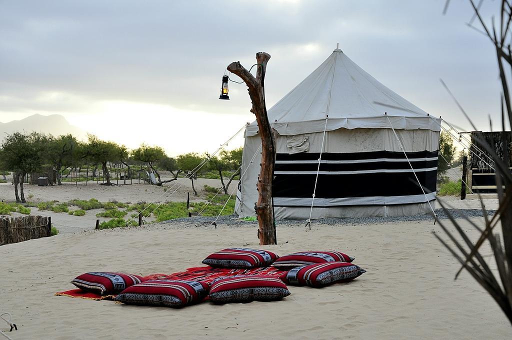 Al Reem Desert Camp Jalan Bani Buhassan Kültér fotó